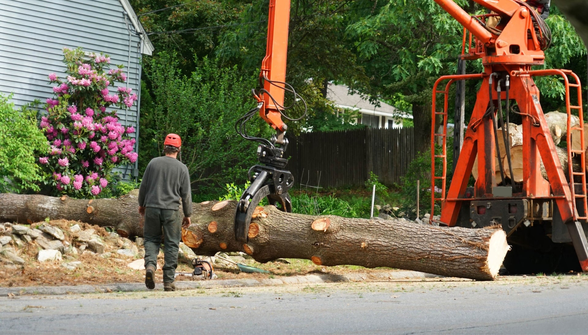 A tree stump has fallen and needs tree removal services in El Paso, TX.